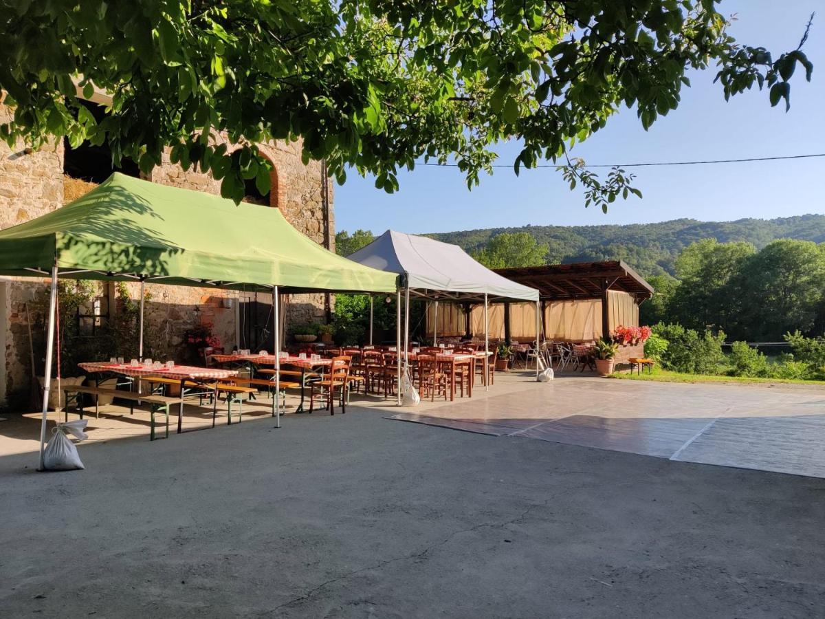 Agriturismo Munarin Caterina Mioglia Ngoại thất bức ảnh